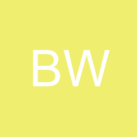 Brain W