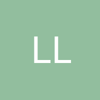LASMA LETTINA