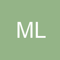 Mr L