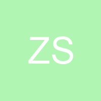 Zain Saqib